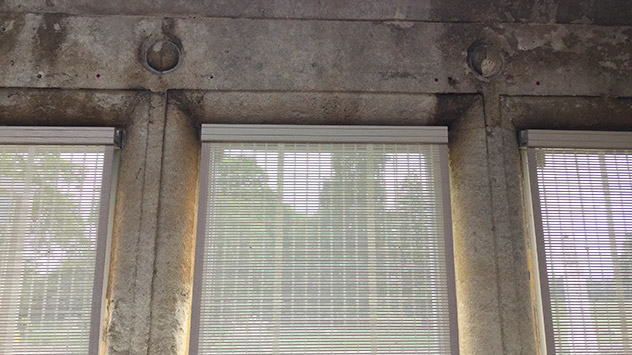 Traditional Pinoleum Blinds in a Somerset Hotel