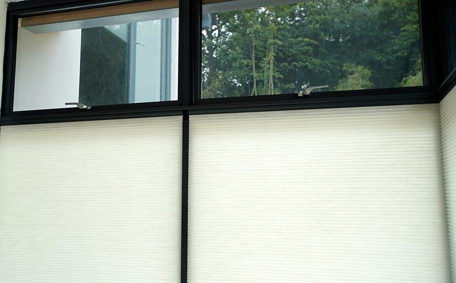 Duette Blinds in a Glass Extension