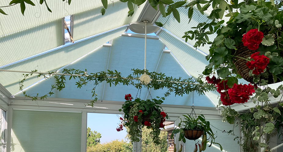 Floral Conservatory Roof